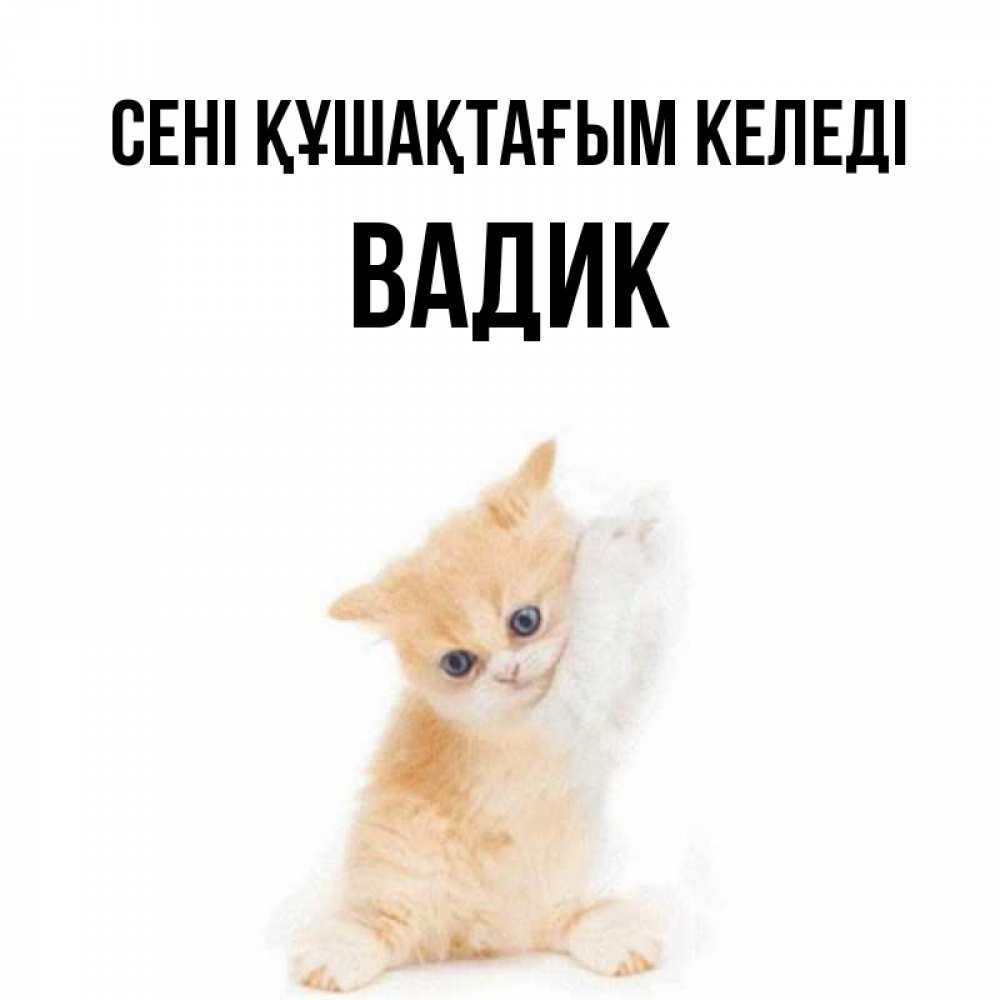 Күн сайын ашық хат с именем, Вадик сені құшақтағым келеді я хочу очень скорее обнимаешек Онлайн тегін жүктеп алу тілектері бар керемет карта 