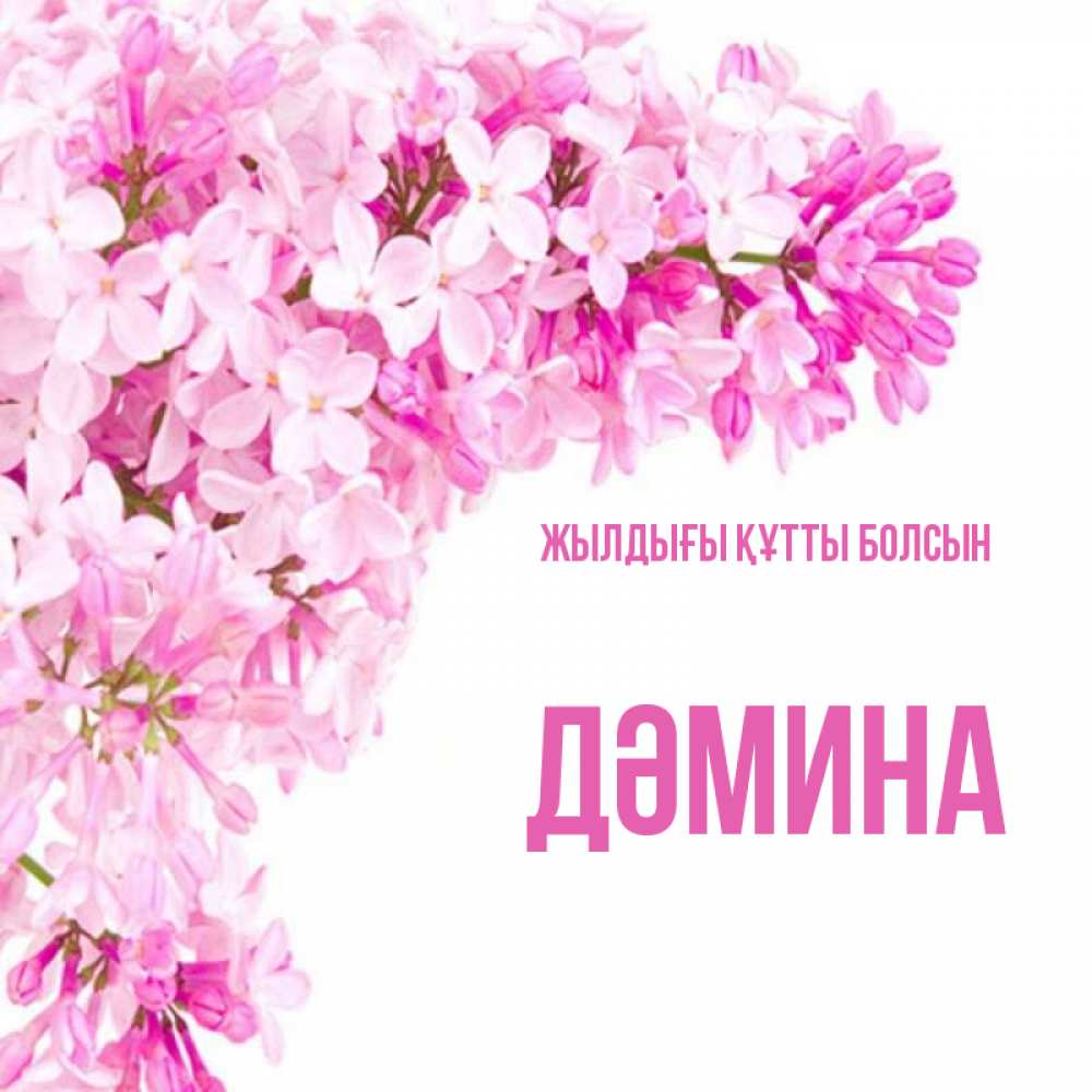 Күн сайын ашық хат с именем, ДӘМИНА Жылдығы құтты болсын Сирень на белом фоне Онлайн тегін жүктеп алу тілектері бар керемет карта 