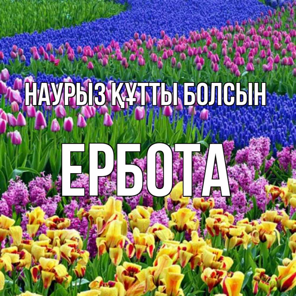 Күн сайын ашық хат с именем, Ербота Наурыз құтты болсын цветы Онлайн тегін жүктеп алу тілектері бар керемет карта 