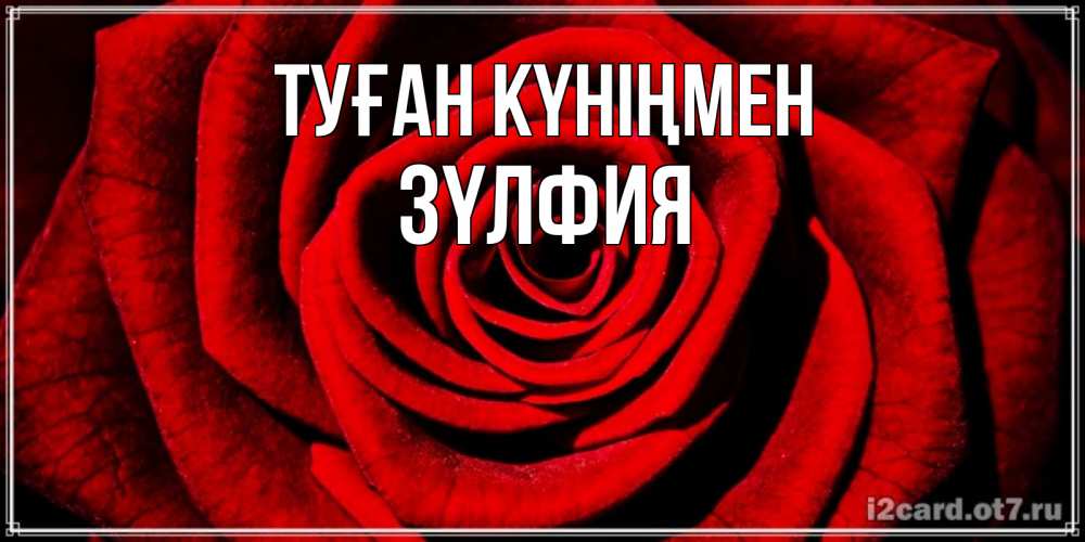 Күн сайын ашық хат с именем, ЗҮЛФИЯ Туған күніңмен алая роза Онлайн тегін жүктеп алу тілектері бар керемет карта 