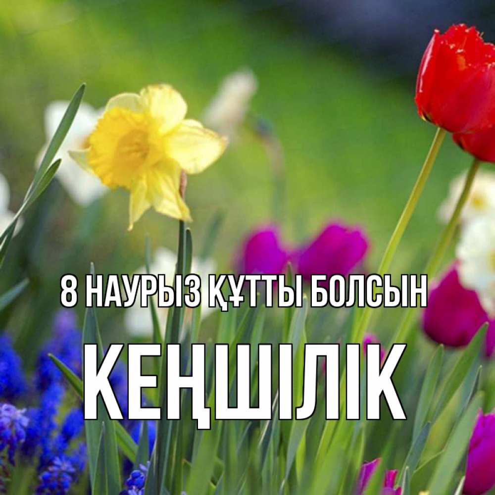 Күн сайын ашық хат с именем, Кеңшілік 8 наурыз құтты болсын международный женский день 3 Онлайн тегін жүктеп алу тілектері бар керемет карта 