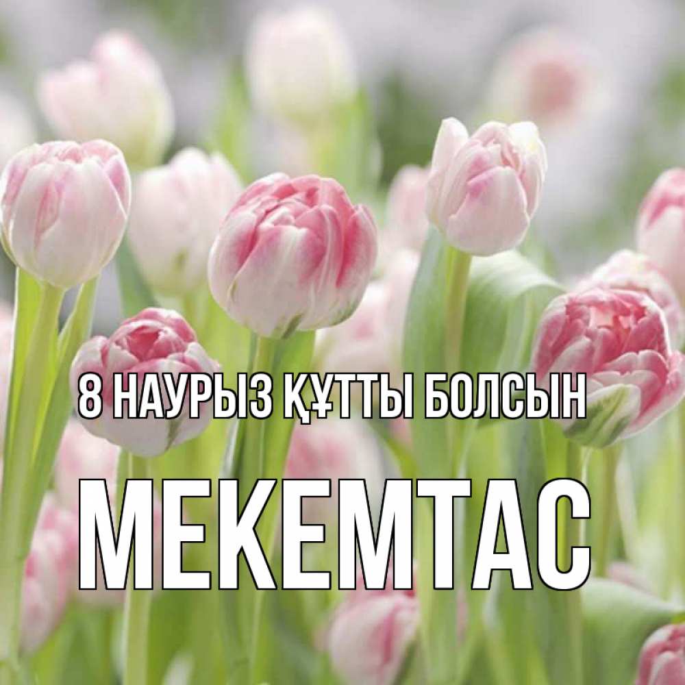 Күн сайын ашық хат с именем, МЕКЕМТАС 8 наурыз құтты болсын цветы Онлайн тегін жүктеп алу тілектері бар керемет карта 