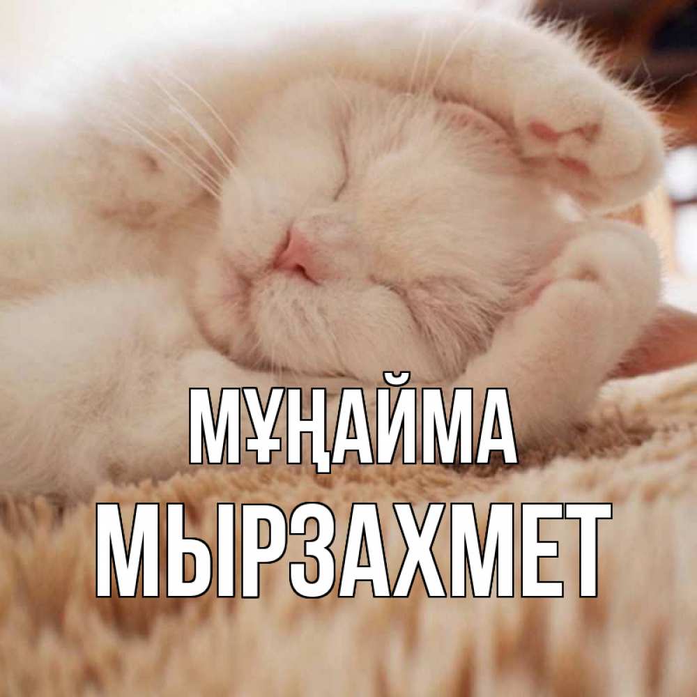 Күн сайын ашық хат с именем, МЫРЗАХМЕТ Мұңайма белый кот Онлайн тегін жүктеп алу тілектері бар керемет карта 