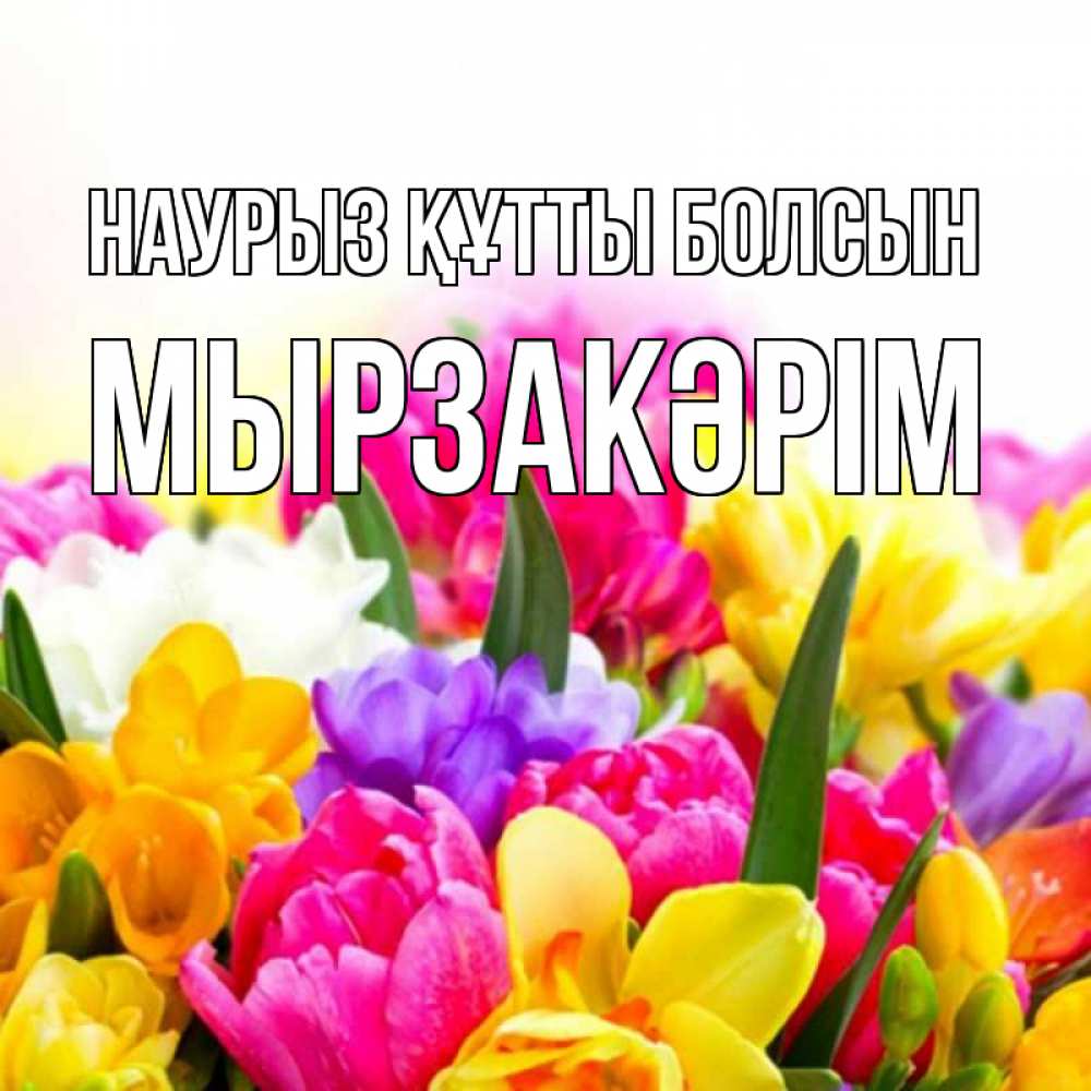 Күн сайын ашық хат с именем, Мырзакәрім Наурыз құтты болсын тюльпаны Онлайн тегін жүктеп алу тілектері бар керемет карта 