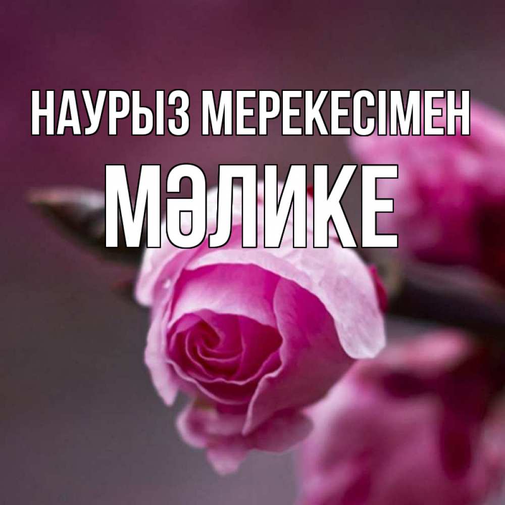 Күн сайын ашық хат с именем, МӘЛИКЕ Наурыз мерекесімен весна Онлайн тегін жүктеп алу тілектері бар керемет карта 