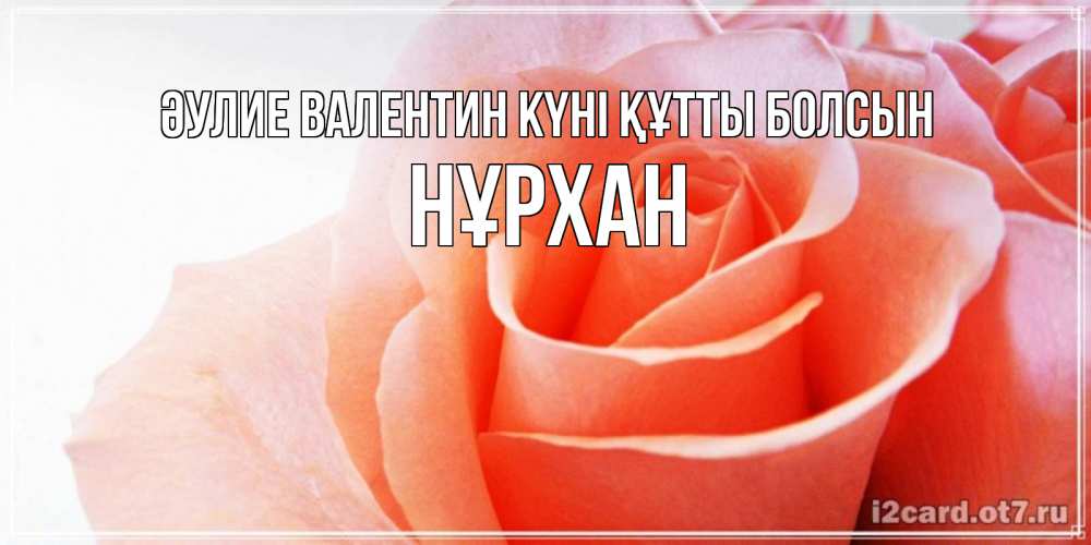 Күн сайын ашық хат с именем, НҰРХАН Әулие Валентин күні құтты болсын открытка на день Святого Валентина с розовой розой Онлайн тегін жүктеп алу тілектері бар керемет карта 