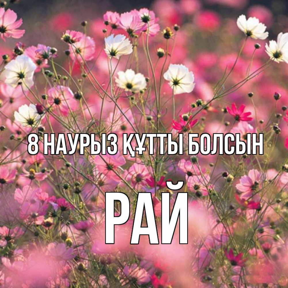 Күн сайын ашық хат с именем, РАЙ 8 наурыз құтты болсын красиво 1 Онлайн тегін жүктеп алу тілектері бар керемет карта 