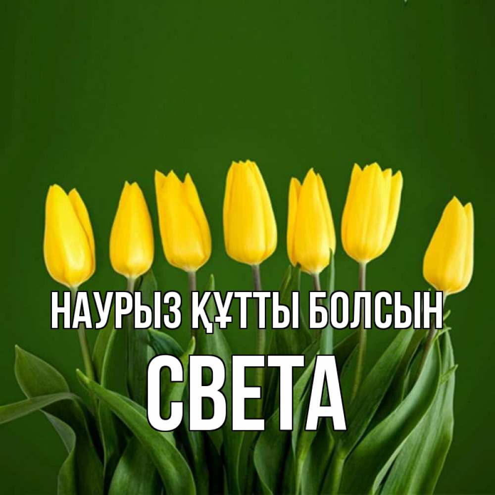 Күн сайын ашық хат с именем, Света Наурыз құтты болсын желтого цвета 3 Онлайн тегін жүктеп алу тілектері бар керемет карта 