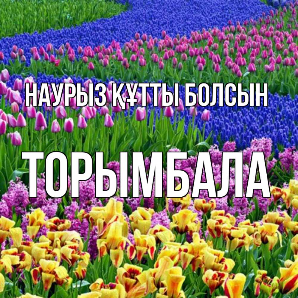 Күн сайын ашық хат с именем, ТОРЫМБАЛА Наурыз құтты болсын цветы Онлайн тегін жүктеп алу тілектері бар керемет карта 