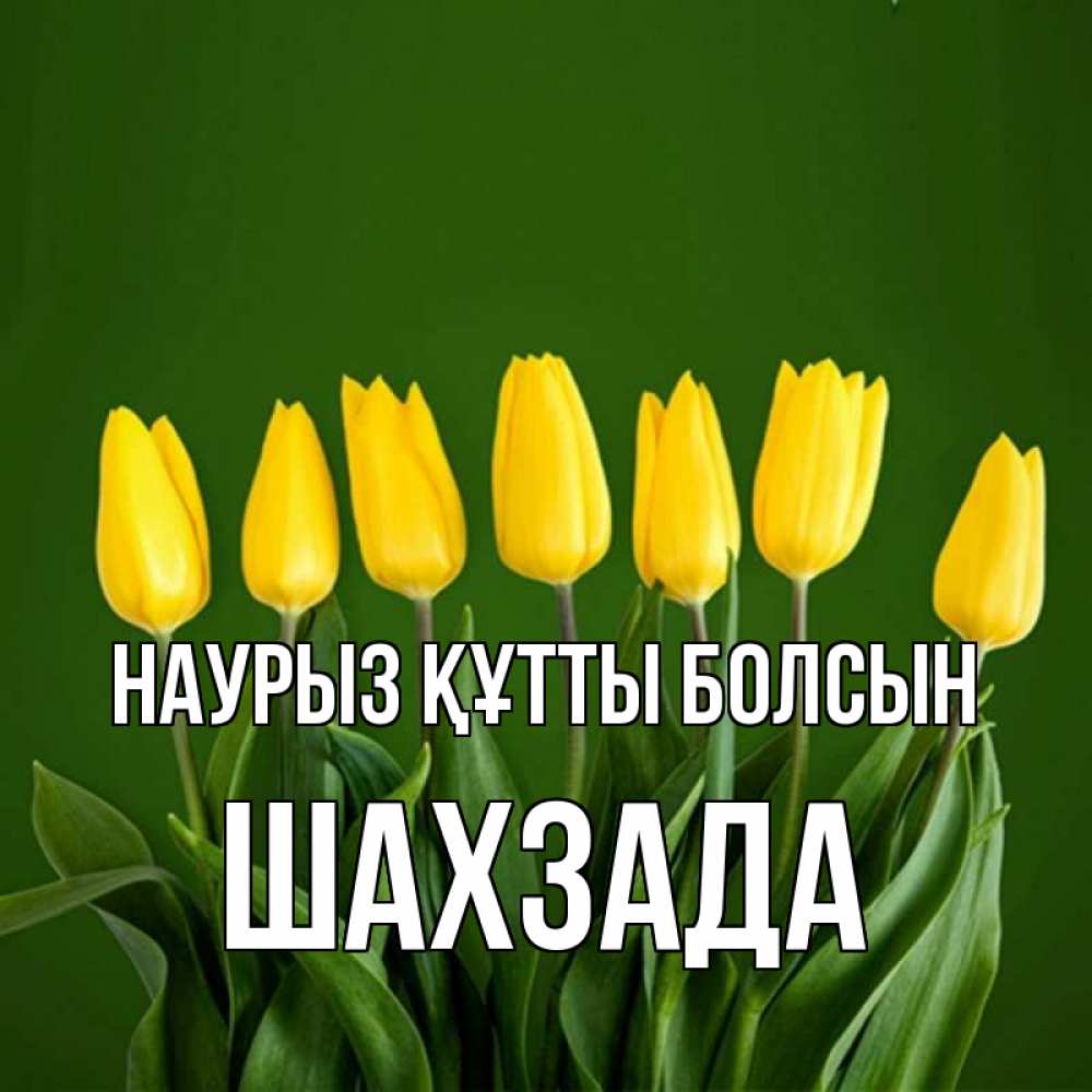Күн сайын ашық хат с именем, ШАХЗАДА Наурыз құтты болсын желтого цвета 3 Онлайн тегін жүктеп алу тілектері бар керемет карта 