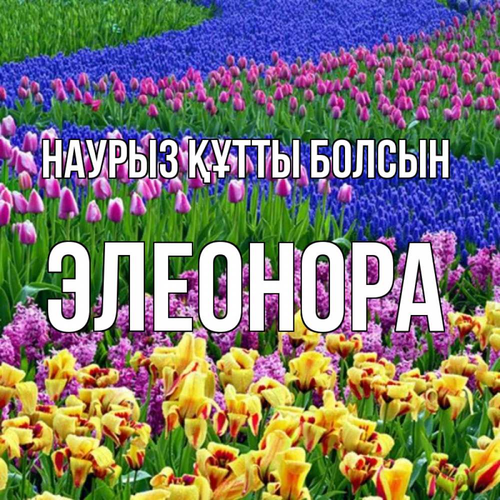 Күн сайын ашық хат с именем, Элеонора Наурыз құтты болсын цветы Онлайн тегін жүктеп алу тілектері бар керемет карта 