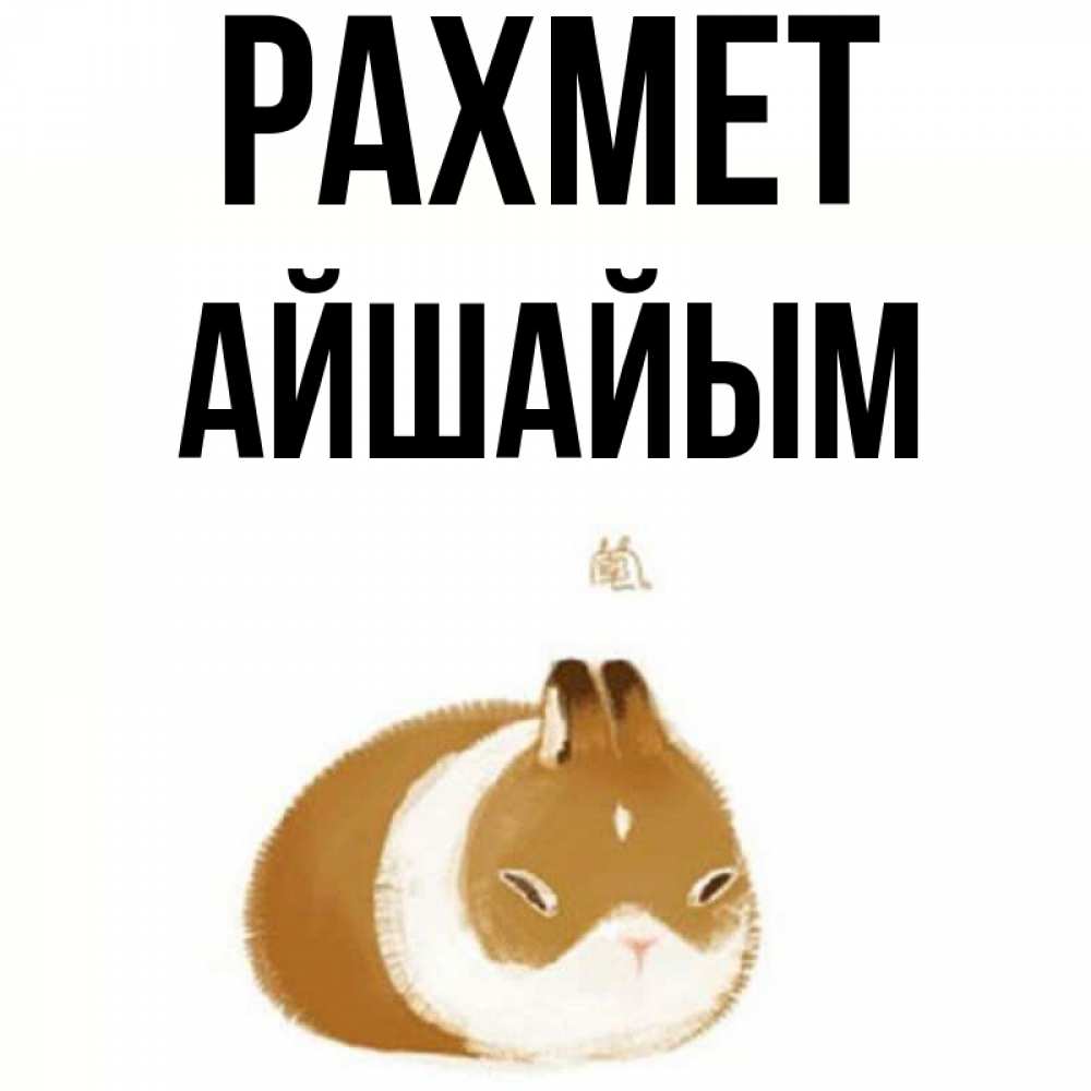Күн сайын ашық хат с именем, АЙШАЙЫМ рахмет коричнево белый домашний питомец Онлайн тегін жүктеп алу тілектері бар керемет карта 