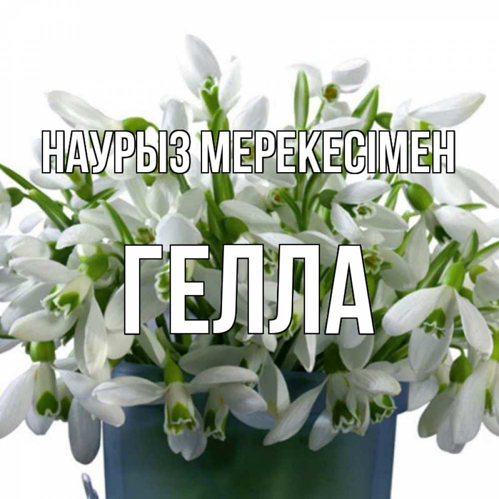 Күн сайын ашық хат с именем, Гелла Наурыз мерекесімен цветы к наурызу новый год в Казахстане Онлайн тегін жүктеп алу тілектері бар керемет карта 