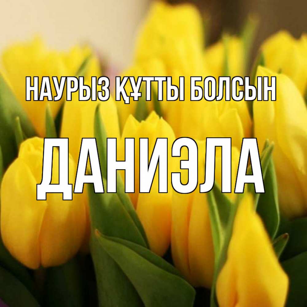 Күн сайын ашық хат с именем, Даниэла Наурыз құтты болсын цветы Онлайн тегін жүктеп алу тілектері бар керемет карта 