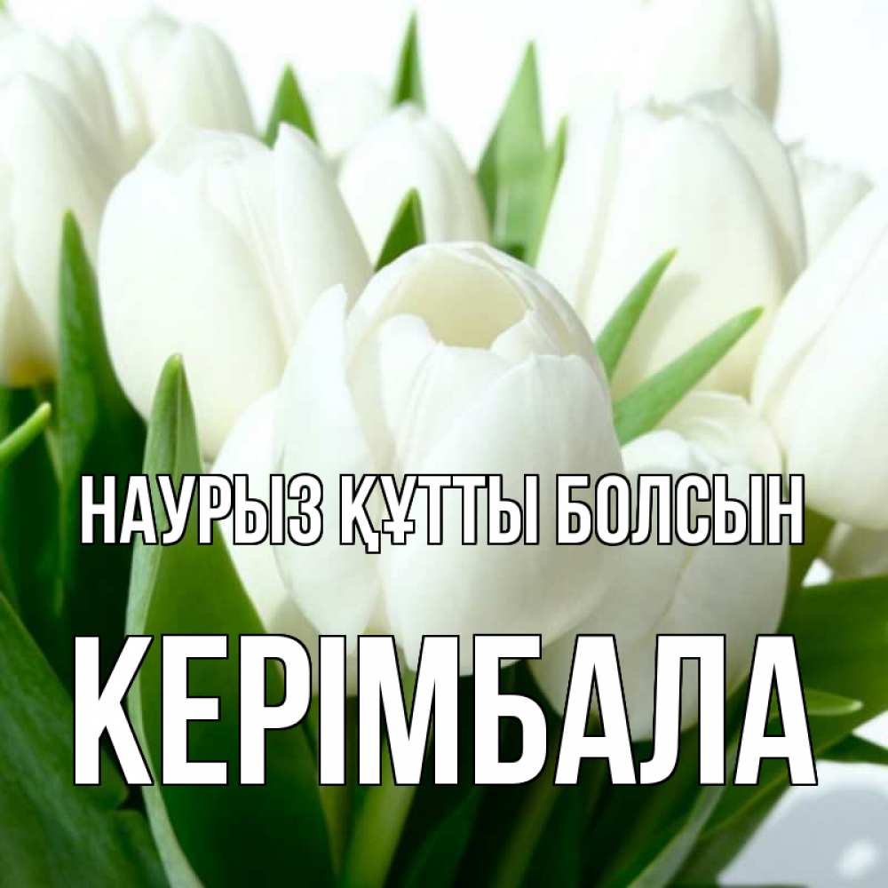 Күн сайын ашық хат с именем, КЕРІМБАЛА Наурыз құтты болсын цветы Онлайн тегін жүктеп алу тілектері бар керемет карта 
