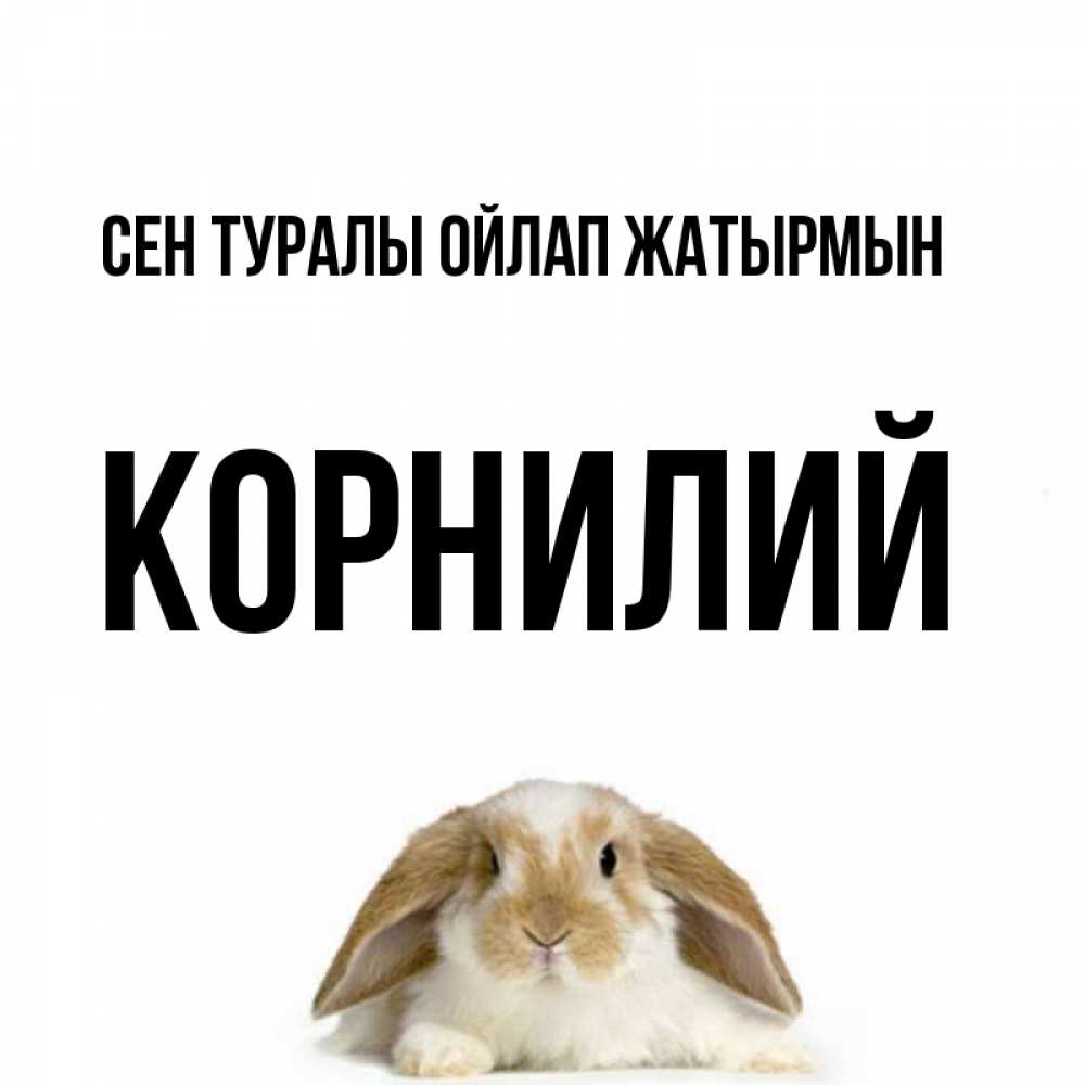 Күн сайын ашық хат с именем, Корнилий Сен туралы ойлап жатырмын подписать своими руками онлайн Онлайн тегін жүктеп алу тілектері бар керемет карта 