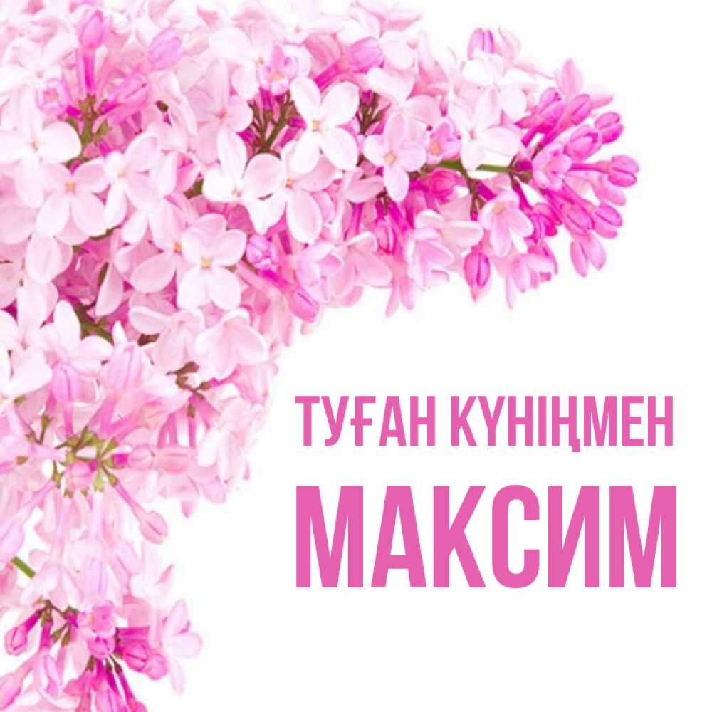Күн сайын ашық хат с именем, Максим Туған күніңмен Сирень на белом фоне Онлайн тегін жүктеп алу тілектері бар керемет карта 
