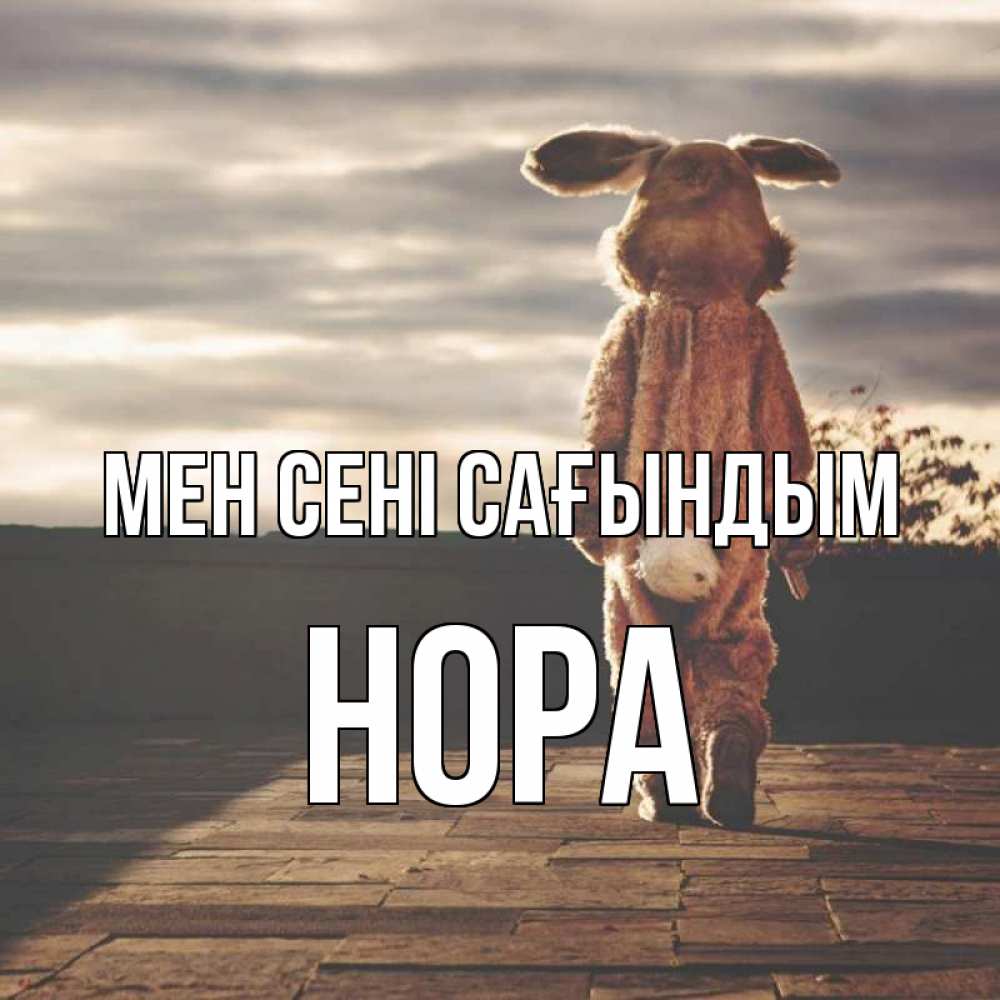 Күн сайын ашық хат с именем, Нора Мен сені сағындым даже в костюме зайца Онлайн тегін жүктеп алу тілектері бар керемет карта 