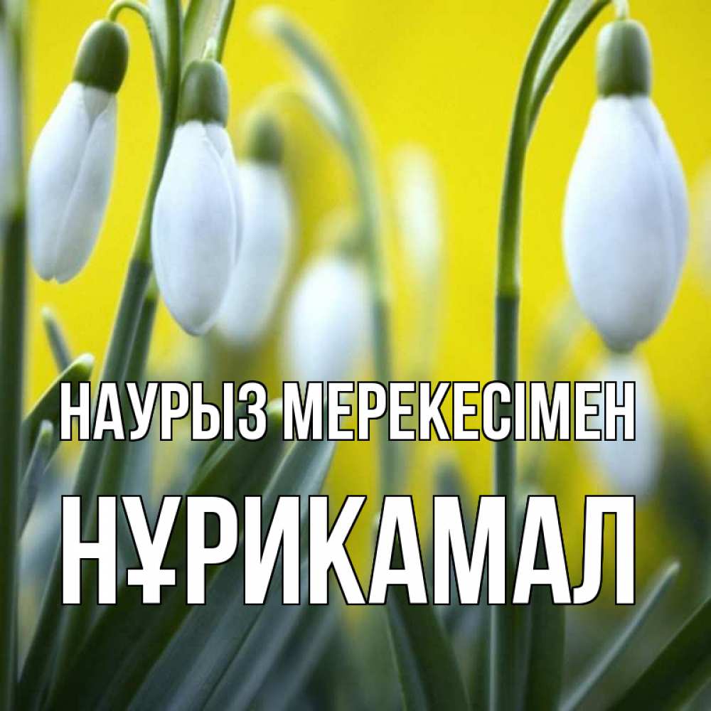 Күн сайын ашық хат с именем, НҰРИКАМАЛ Наурыз мерекесімен весенние цветы Онлайн тегін жүктеп алу тілектері бар керемет карта 