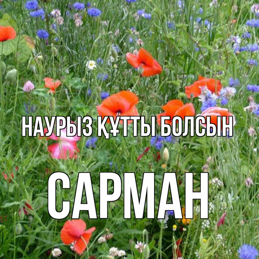Күн сайын ашық хат с именем, САРМАН Наурыз құтты болсын наурыз  4 Онлайн тегін жүктеп алу тілектері бар керемет карта 