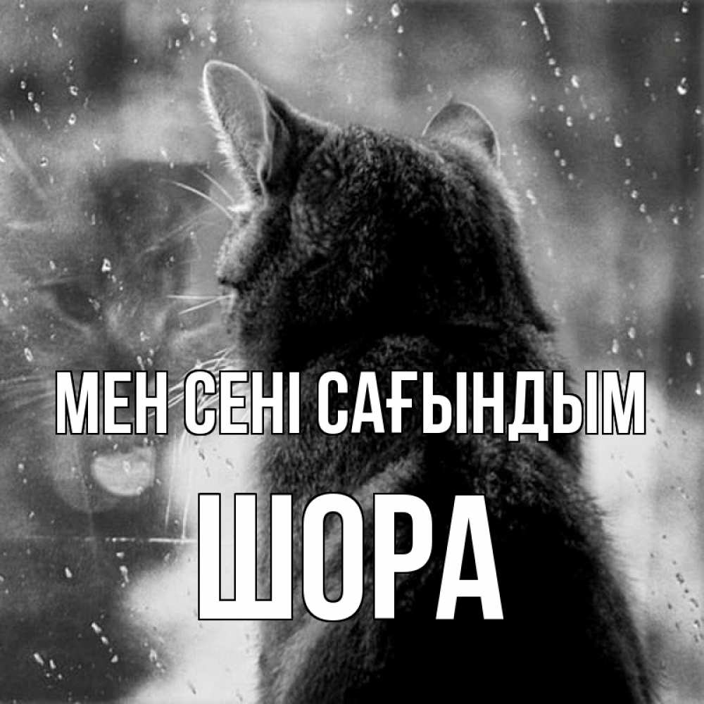 Күн сайын ашық хат с именем, ШОРА Мен сені сағындым скорее ко мне приходи 1 Онлайн тегін жүктеп алу тілектері бар керемет карта 