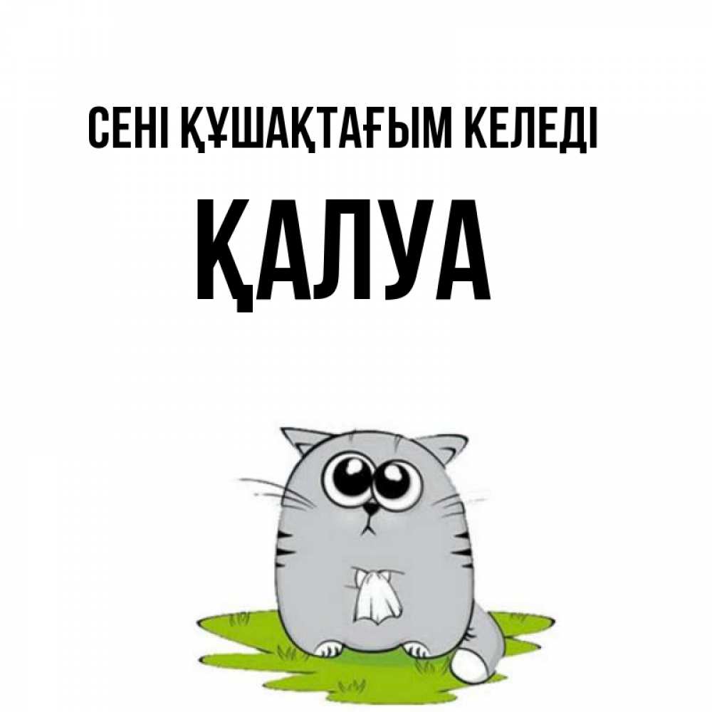 Күн сайын ашық хат с именем, ҚАЛУА сені құшақтағым келеді котик теребит платочек сидя на травке Онлайн тегін жүктеп алу тілектері бар керемет карта 