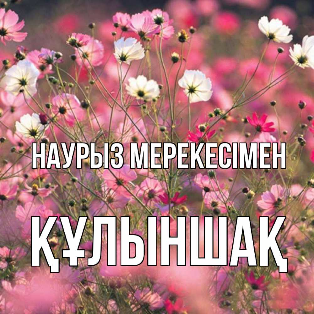 Күн сайын ашық хат с именем, ҚҰЛЫНШАҚ Наурыз мерекесімен красиво 1 Онлайн тегін жүктеп алу тілектері бар керемет карта 