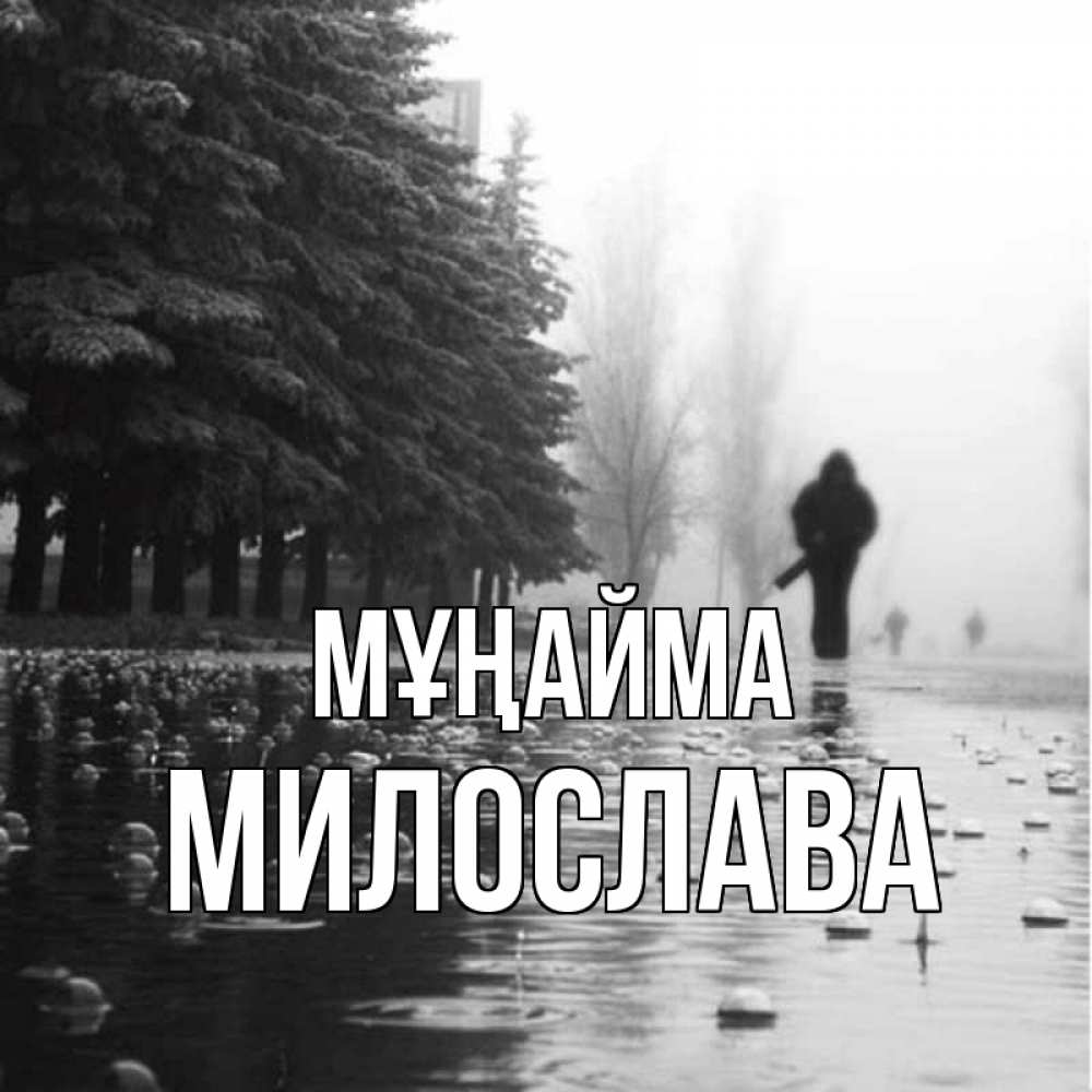 Күн сайын ашық хат с именем, Милослава Мұңайма улица под дождем Онлайн тегін жүктеп алу тілектері бар керемет карта 