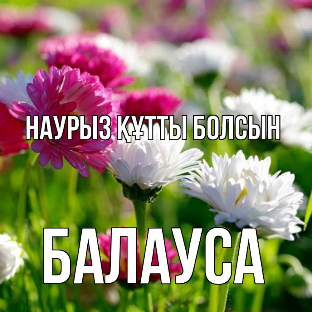 Күн сайын ашық хат с именем, БАЛАУСА Наурыз құтты болсын наурыз Онлайн тегін жүктеп алу тілектері бар керемет карта 