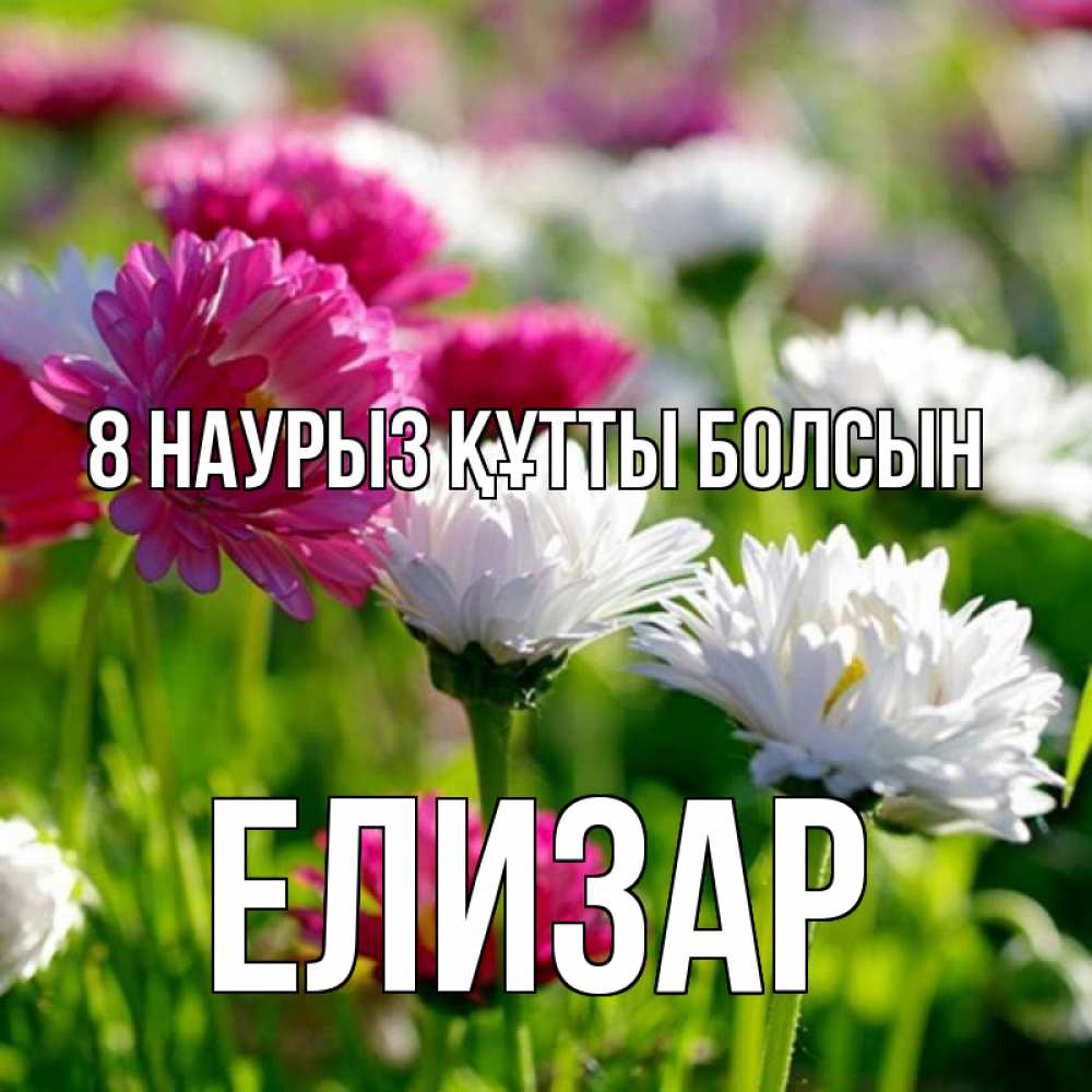 Күн сайын ашық хат с именем, Елизар 8 наурыз құтты болсын международный женский день 1 Онлайн тегін жүктеп алу тілектері бар керемет карта 