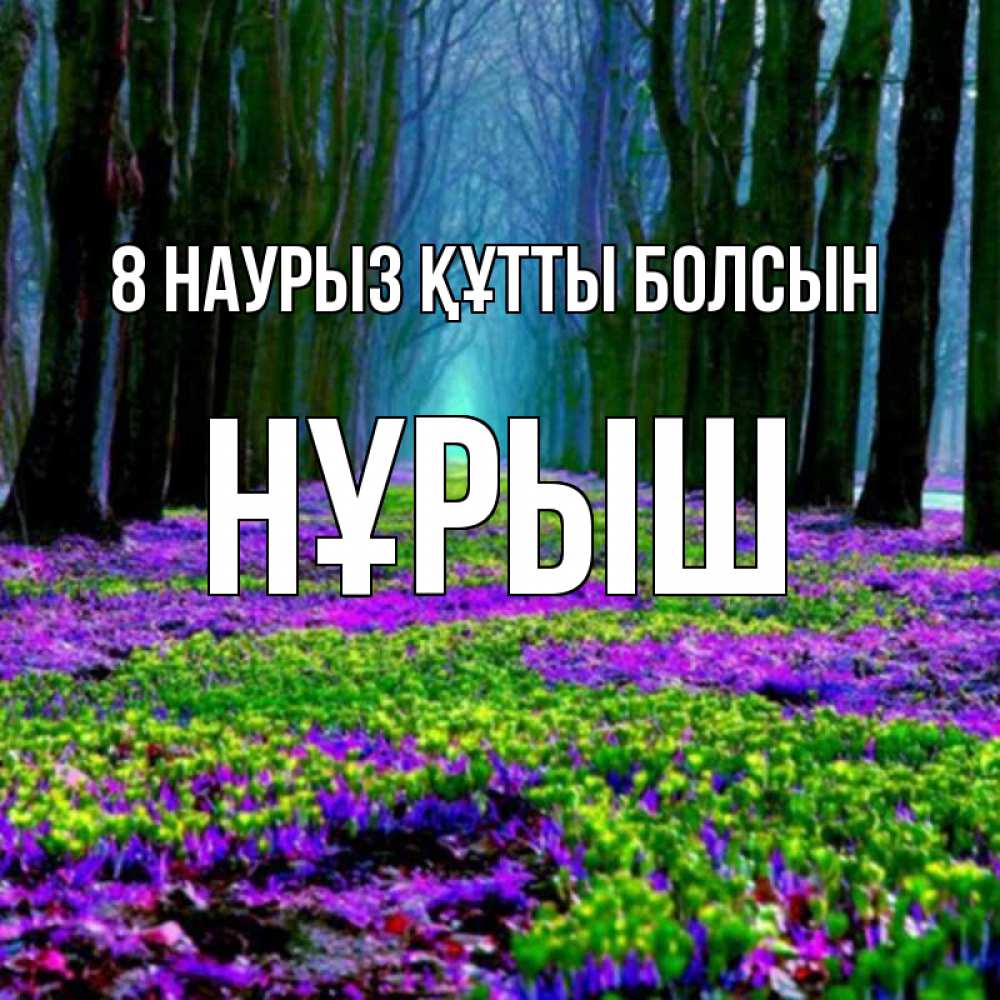 Күн сайын ашық хат с именем, Нұрыш 8 наурыз құтты болсын фиолетовые цветы в лесу 1 Онлайн тегін жүктеп алу тілектері бар керемет карта 