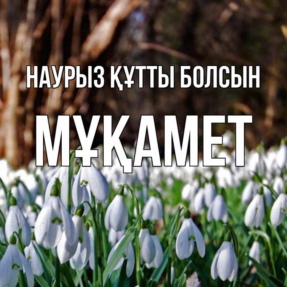 Күн сайын ашық хат с именем, МҰҚАМЕТ Наурыз құтты болсын с подснежниками 1 Онлайн тегін жүктеп алу тілектері бар керемет карта 
