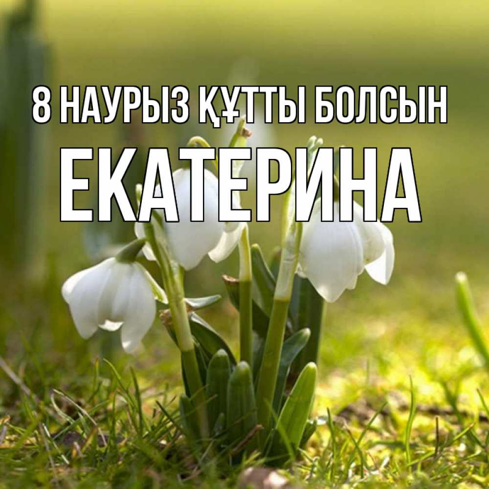 Күн сайын ашық хат с именем, Екатерина 8 наурыз құтты болсын ранние цветы 2 Онлайн тегін жүктеп алу тілектері бар керемет карта 