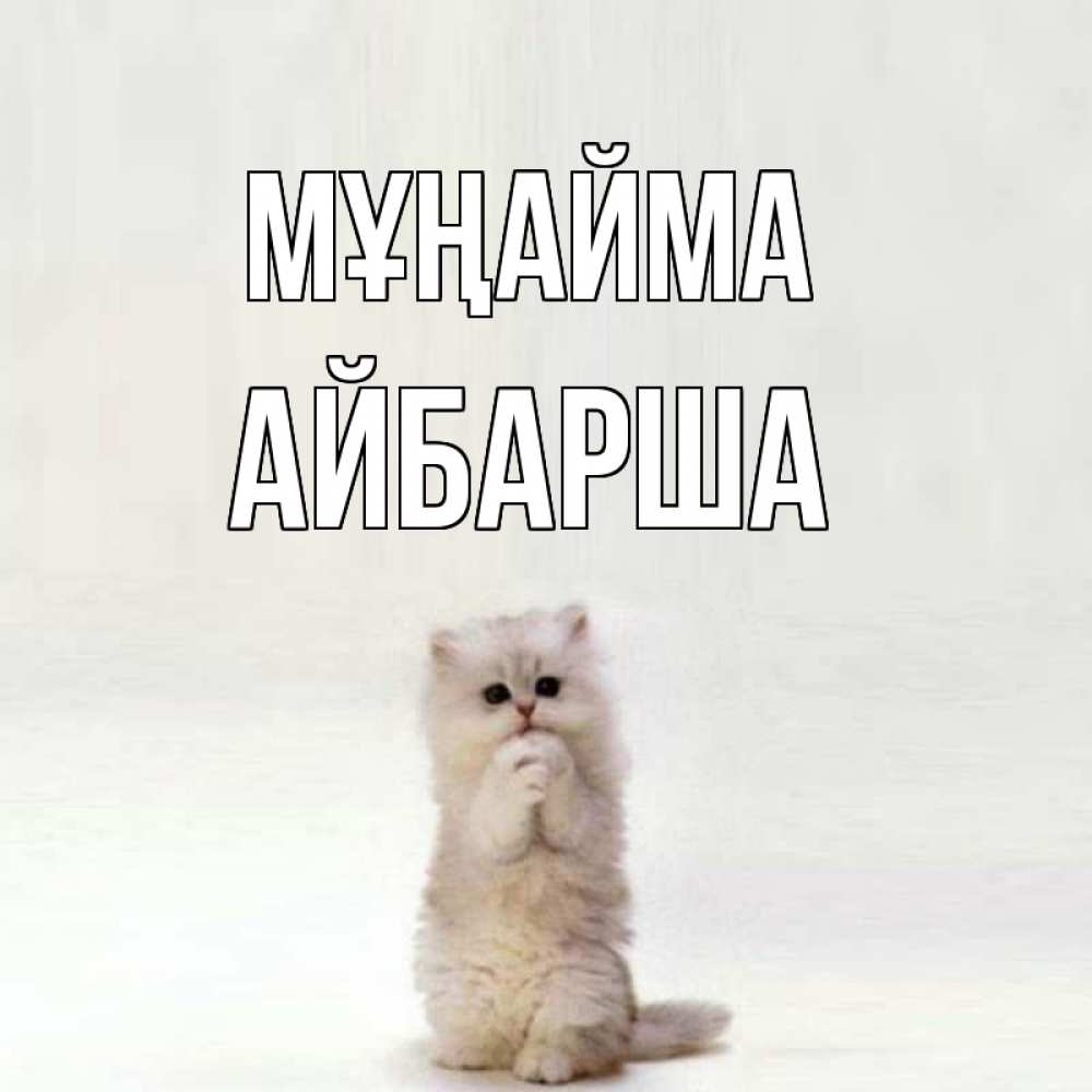 Күн сайын ашық хат с именем, АЙБАРША Мұңайма грустный кот Онлайн тегін жүктеп алу тілектері бар керемет карта 