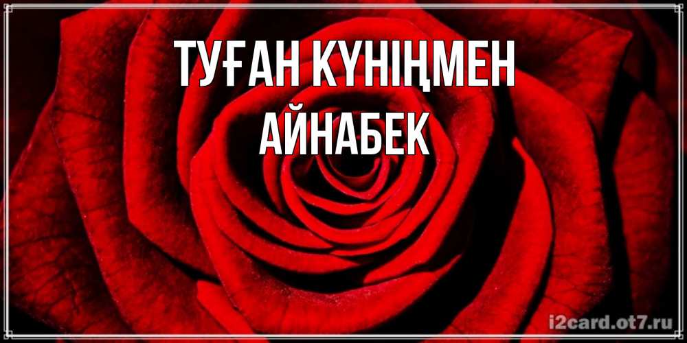 Күн сайын ашық хат с именем, Айнабек Туған күніңмен алая роза Онлайн тегін жүктеп алу тілектері бар керемет карта 