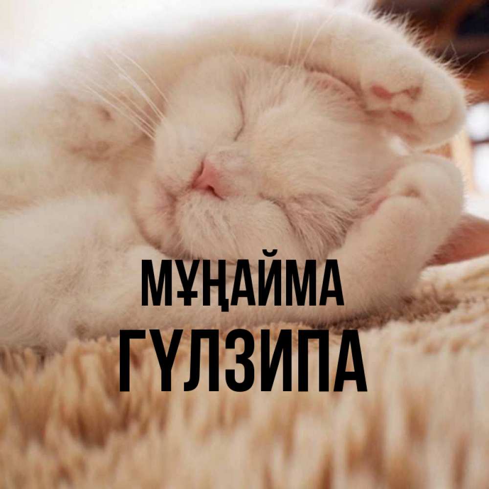 Күн сайын ашық хат с именем, ГҮЛЗИПА Мұңайма Котенок спит Онлайн тегін жүктеп алу тілектері бар керемет карта 