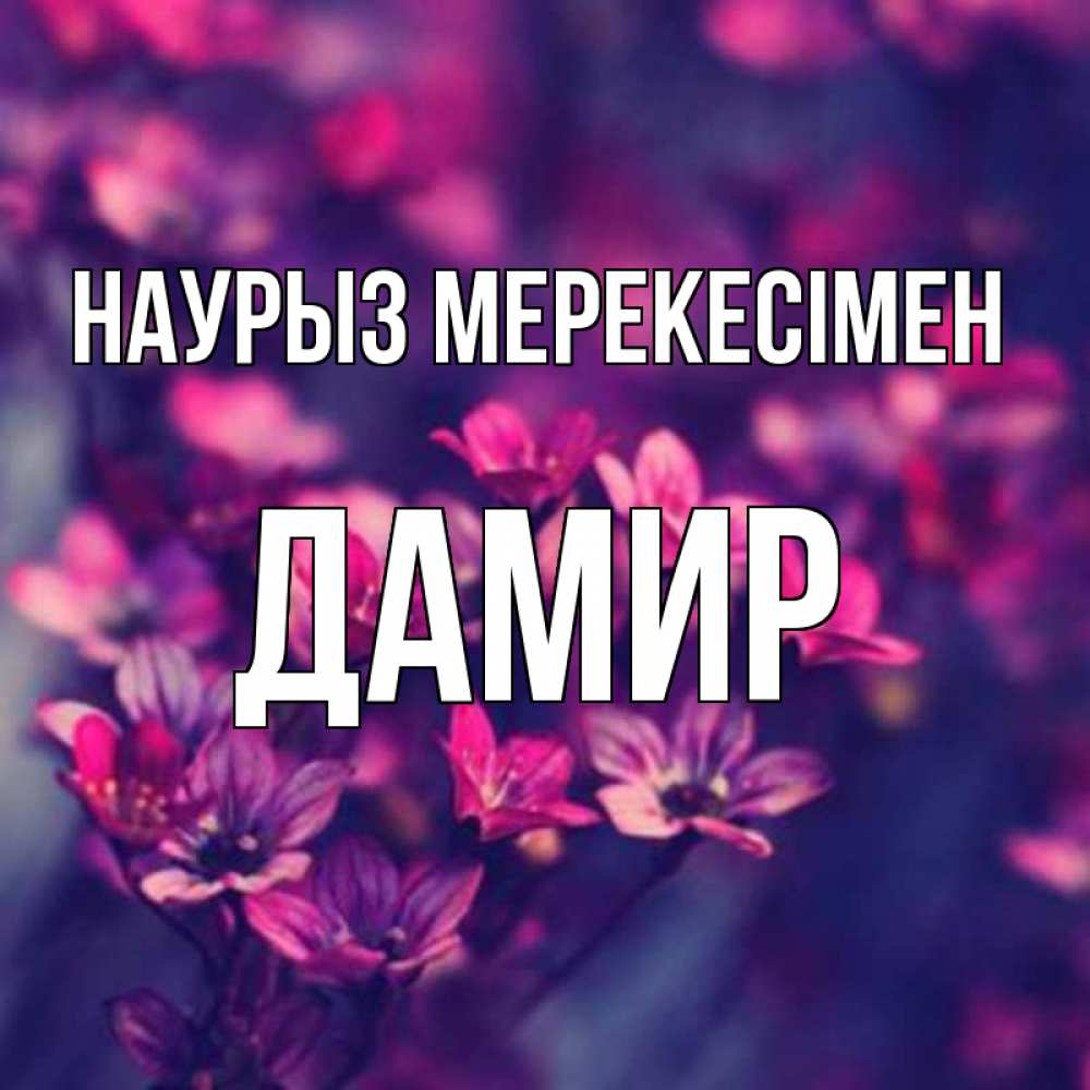 Күн сайын ашық хат с именем, Дамир Наурыз мерекесімен небольшие цветы 1 Онлайн тегін жүктеп алу тілектері бар керемет карта 