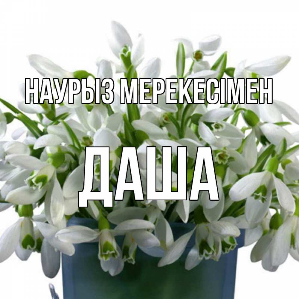 Күн сайын ашық хат с именем, Даша Наурыз мерекесімен цветы к наурызу новый год в Казахстане Онлайн тегін жүктеп алу тілектері бар керемет карта 