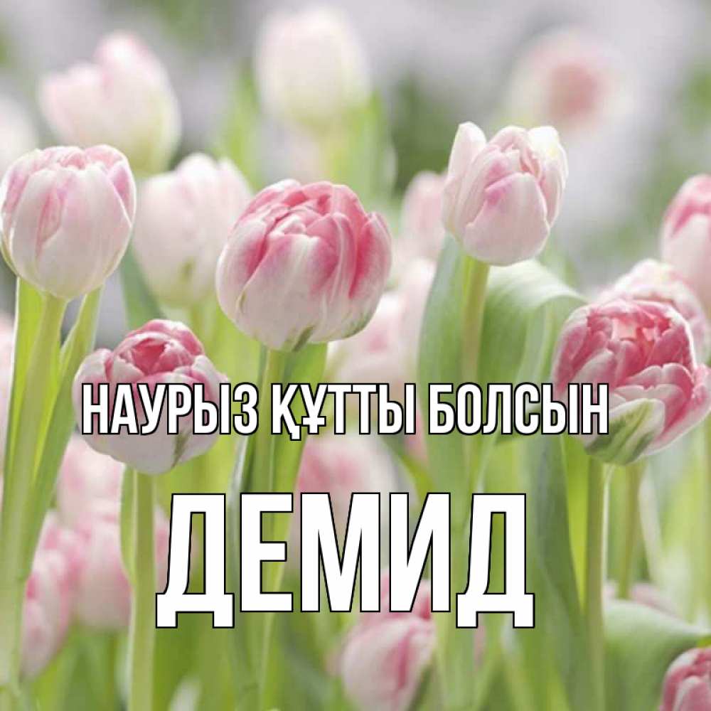 Күн сайын ашық хат с именем, Демид Наурыз құтты болсын цветы Онлайн тегін жүктеп алу тілектері бар керемет карта 
