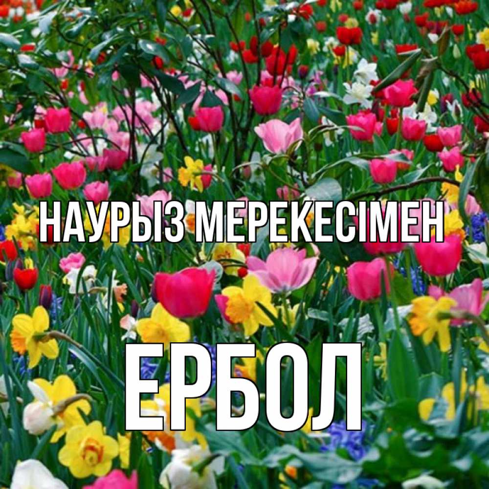 Күн сайын ашық хат с именем, Ербол Наурыз мерекесімен с наурызом праздником весны поздравления для женщины Онлайн тегін жүктеп алу тілектері бар керемет карта 
