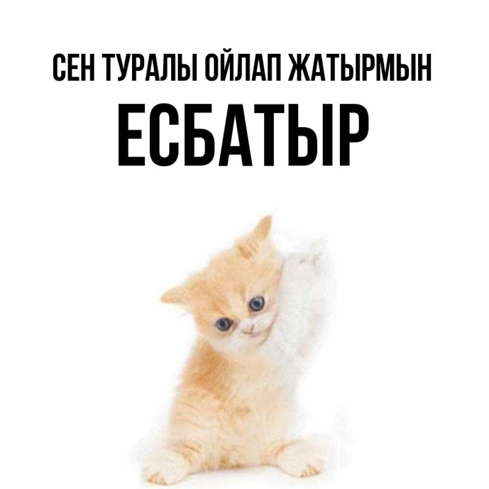 Күн сайын ашық хат с именем, Есбатыр Сен туралы ойлап жатырмын зверушки и милота Онлайн тегін жүктеп алу тілектері бар керемет карта 