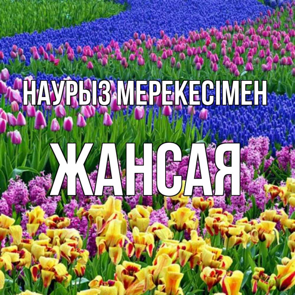 Күн сайын ашық хат с именем, ЖАНСАЯ Наурыз мерекесімен цветы Онлайн тегін жүктеп алу тілектері бар керемет карта 