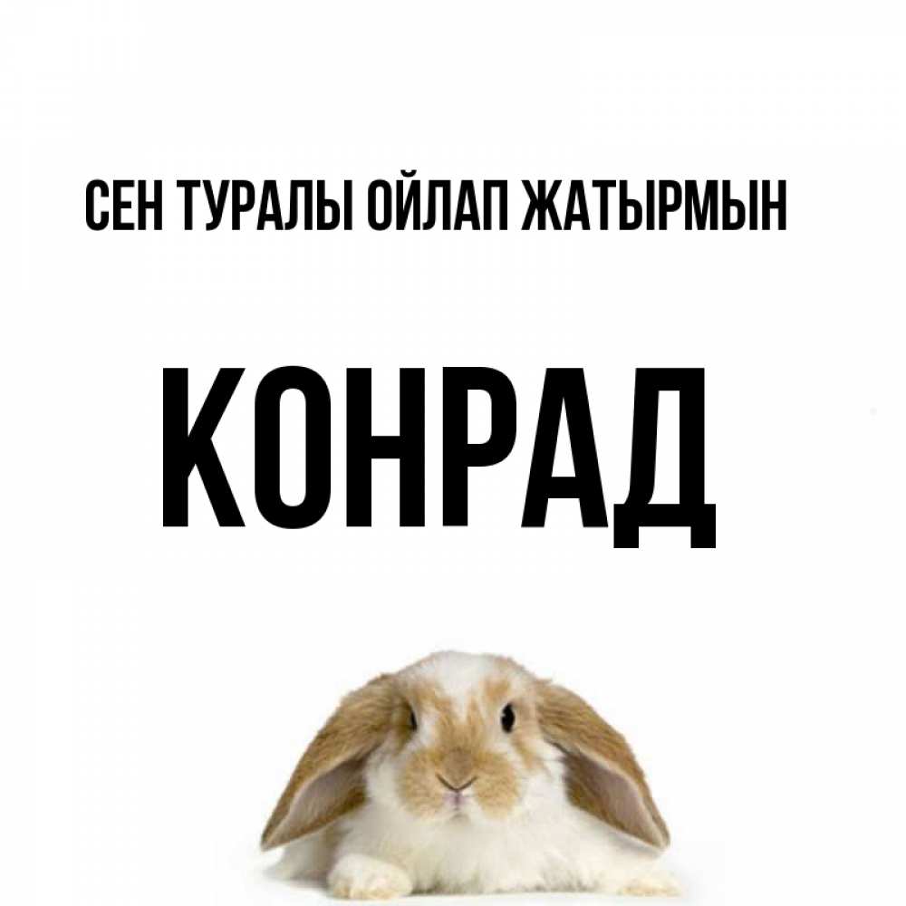 Күн сайын ашық хат с именем, Конрад Сен туралы ойлап жатырмын подписать своими руками онлайн Онлайн тегін жүктеп алу тілектері бар керемет карта 