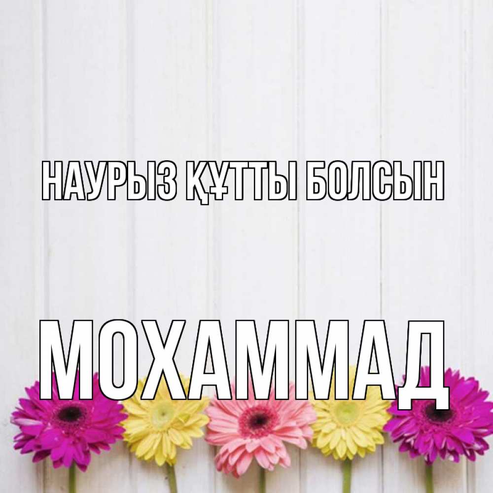 Күн сайын ашық хат с именем, Мохаммад Наурыз құтты болсын женщинам 1 Онлайн тегін жүктеп алу тілектері бар керемет карта 