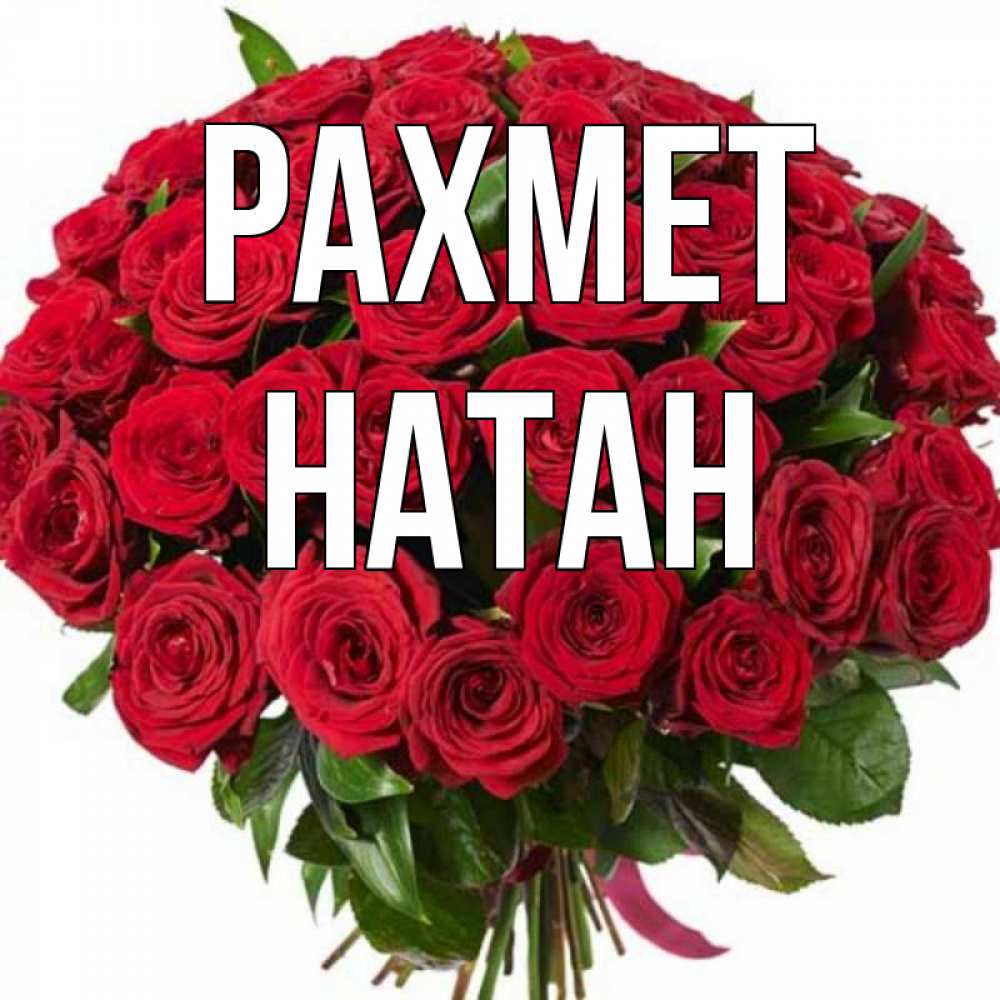 Күн сайын ашық хат с именем, Натан рахмет букет красных роз Онлайн тегін жүктеп алу тілектері бар керемет карта 