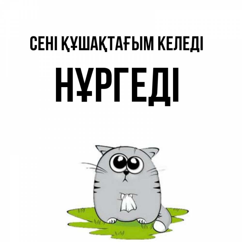 Күн сайын ашық хат с именем, НҰРГЕДІ сені құшақтағым келеді котик теребит платочек сидя на травке Онлайн тегін жүктеп алу тілектері бар керемет карта 