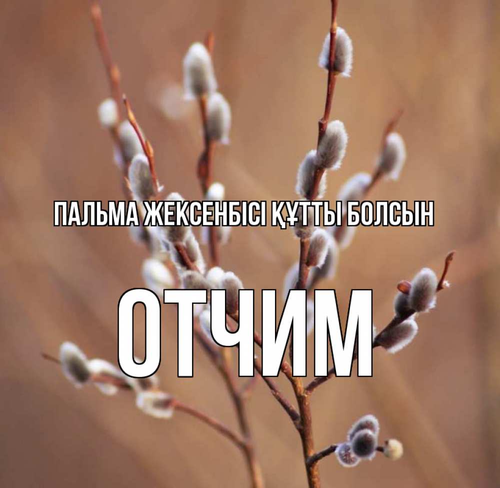 Күн сайын ашық хат с именем, Отчим Пальма жексенбісі құтты болсын верба Онлайн тегін жүктеп алу тілектері бар керемет карта 