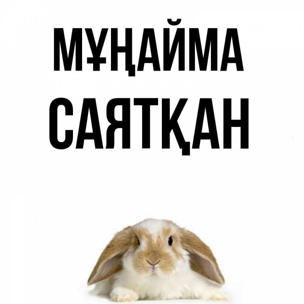 Күн сайын ашық хат с именем, САЯТҚАН Мұңайма коричнево белый заяц с большими ушками Онлайн тегін жүктеп алу тілектері бар керемет карта 