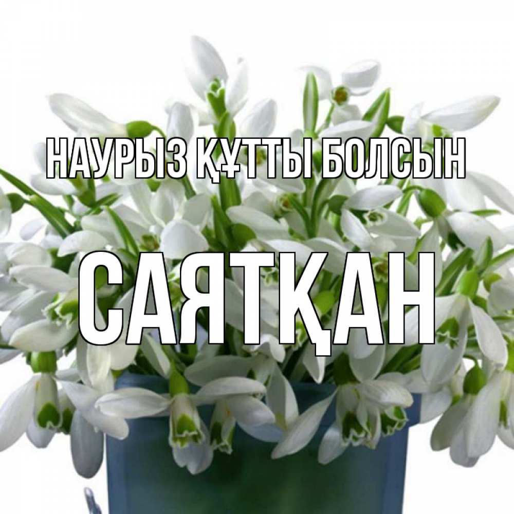Күн сайын ашық хат с именем, САЯТҚАН Наурыз құтты болсын цветы к наурызу Онлайн тегін жүктеп алу тілектері бар керемет карта 