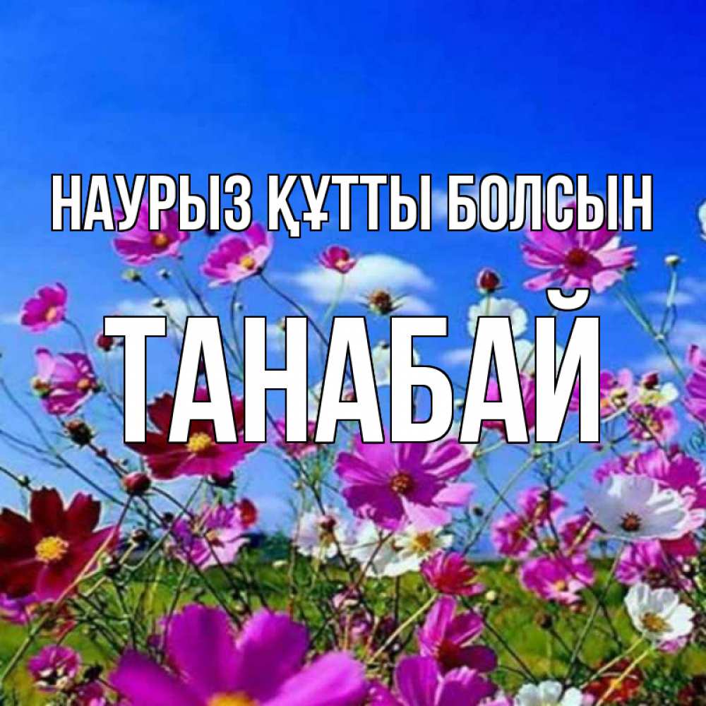 Күн сайын ашық хат с именем, ТАНАБАЙ Наурыз құтты болсын цветы Онлайн тегін жүктеп алу тілектері бар керемет карта 